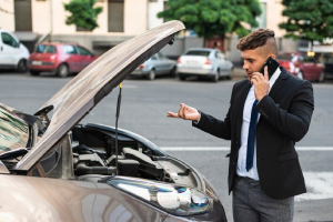 Seguro Auto Empresarial Dalla Martha